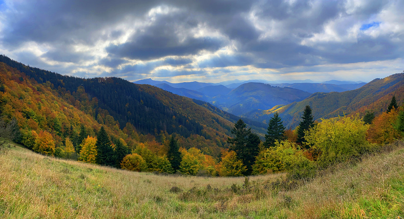 Cestou na Kýčeru z Ďurčinej, Lúčanská Fatra,  (4)