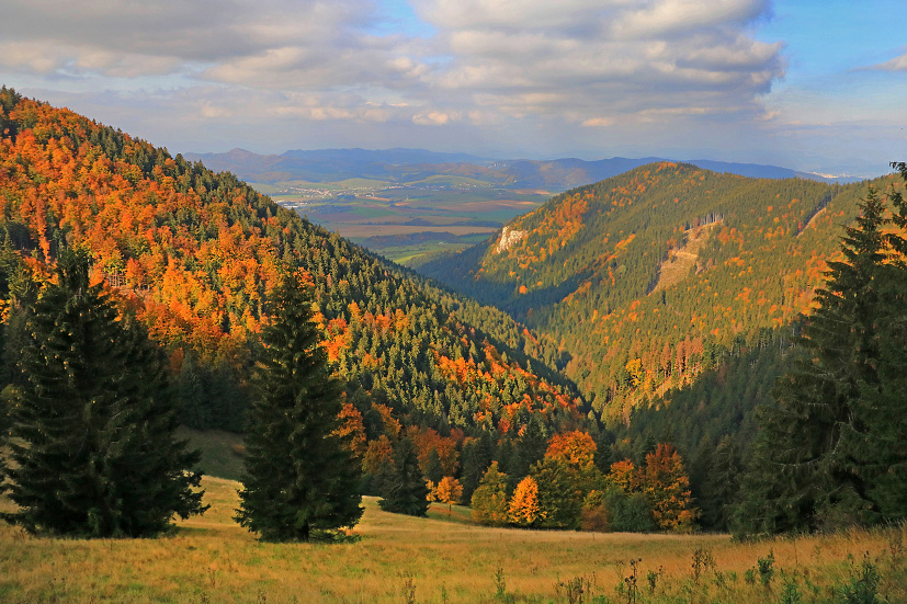 Cestou na Kýčeru z Ďurčinej, Lúčanská Fatra,  (2)