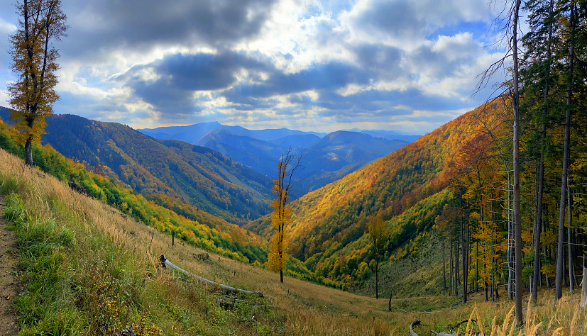 Cestou na Kýčeru z Ďurčinej, Lúčanská Fatra,  (3)