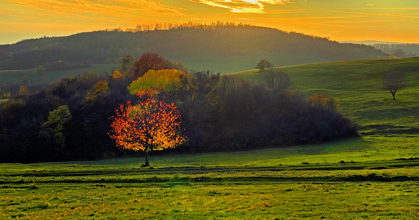 Počúvadlo obec (5)