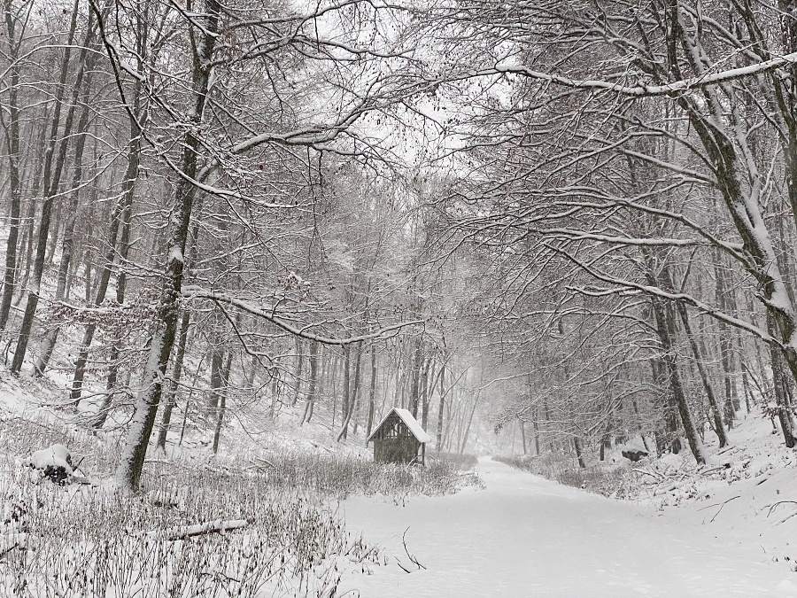 Dolné Vestenice -Hradištnica (2)
