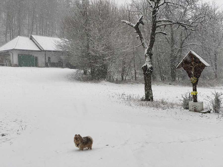 Hradištnica (1)