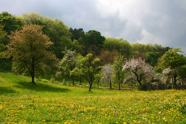 Jar v Brodzanoch.jpg